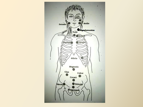 P. REFLEJOS DE MINERALES